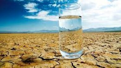 تامین آب ۴ میلیون تهرانی در خطر است/ صادرات آب بستهبندی چه توجیهی دارد؟