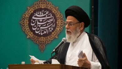 تاکید آیتالله مدرسی بر ساماندهی و تعیین و تکلیف اتباع غیرمجاز