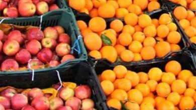 تدارک میوه شب عید از هماکنون آغاز شد