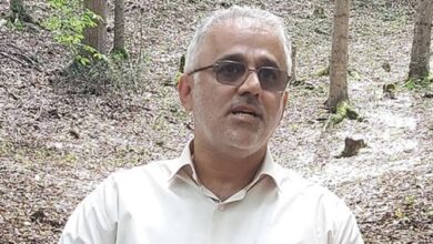 جزئیات اجرای طرح مردمی کاشت یک میلیارد درخت در کشور