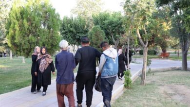 جمعآوری ۵۰۸ معتاد متجاهر در سطح شهر مشهد