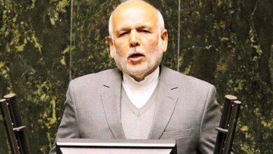 جمیری: لایحه ساماندهی کولبری زندگی لنجداران را تحت تاثیر قرار میدهد