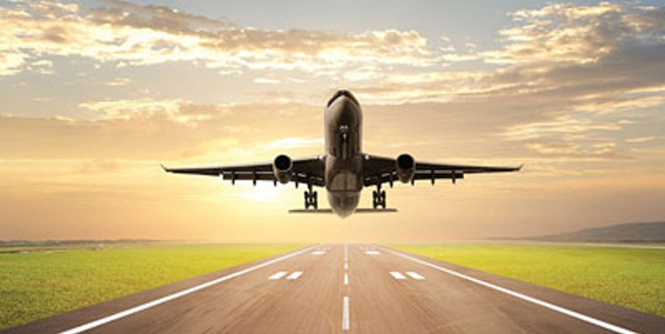 جولان سگهای ولگرد در باند فرودگاه تبریز و سکوت مسئولان+ فیلم