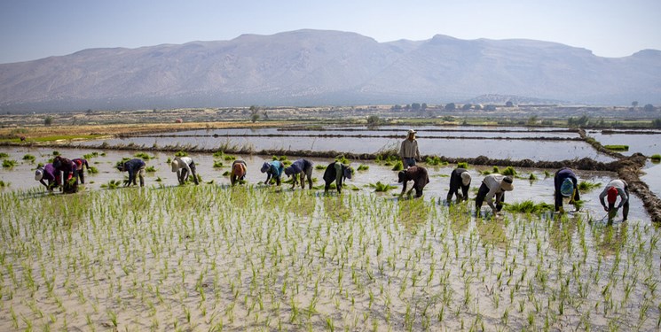 خبر خوب از جبران خسارت تنش آبی در استانهای شمالی