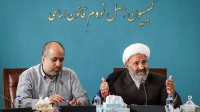 خضریان: سامانه احراز کد اتباع خارجی راهاندازی میشود