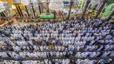 خطیب جمعه ساری خواستار جمعآوری درختان خشکیده جنگلهای مازندران شد