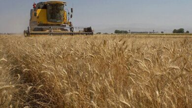 دست رد روسها به درخواست ترکیه