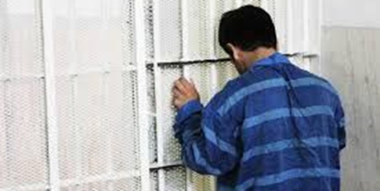 دستگیری عامل اصلی برنامهریزی ناامنی در استان فارس