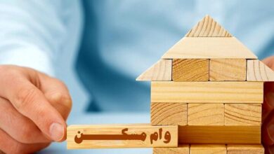 دولت جدیتی در جریمه کردن بانکهایی که وام نمی دهند ندارد