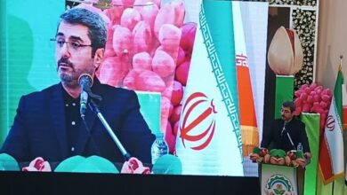 رئیس سازمان حفظ نباتات کشور: اجازه سمپاشی بیرویه را نخواهیم داد