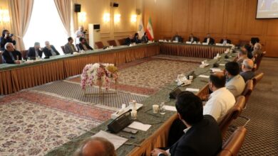 رفتار شهید سلیمانی در قبال اقلیتها منطبق بر هنجارهای بینالمللی است