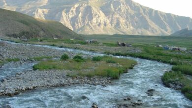 رفع تصرف بیش از 8 هکتار از بستر رودخانههای فیروزکوه