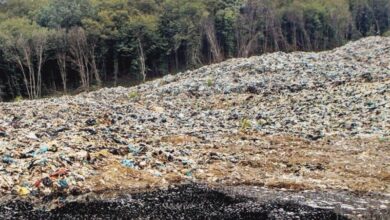 زخم عمیق دپوی زباله بر دل جنگلهای هیرکانی/ زبالههایی که شمال را میبلعد/ اینجا هم نفس کشیدن آرزو شد!