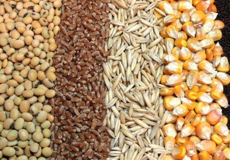 ساخت بزرگترین کارخانه خوراک طیور استان اصفهان در کاشان