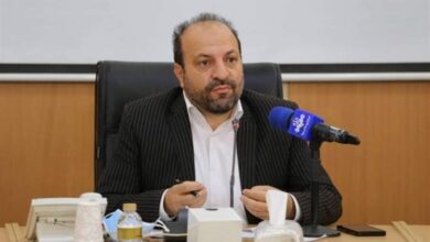 سنگ اندازی مدیران استانی رئیس سازمان جنگلها را به یاسوج کشاند