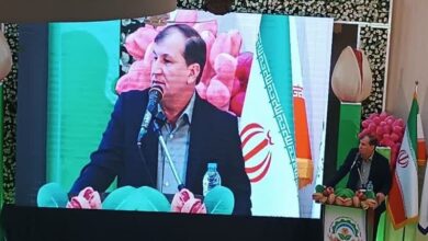 سهم یک میلیارد دلاری پسته از سبد صادرات محصولات کشاورزی