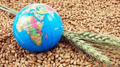 سیاست های جدید تامین غذا در جهان