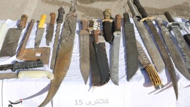 شرور قمهکش با شلیک گلوله پلیس کرج از پای درآمد