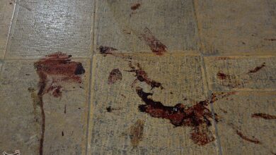 عامل حمله تروریستی به شاهچراغ: قرار بود تا زمان کشتهشدن به کشتار ادامه دهم