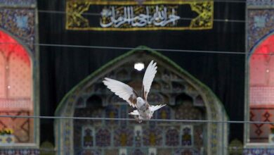 عشق امام رضا(ع) حد و مرزی ندارد / زائران امام مهربانیها کبوتر دل خود را تا بقیع به پرواز در آوردهاند