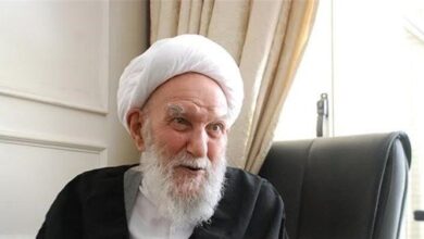 عضو مجلس خبرگان: آیتالله ناصری نمونه اکسیر عشق به ولی خدا بود