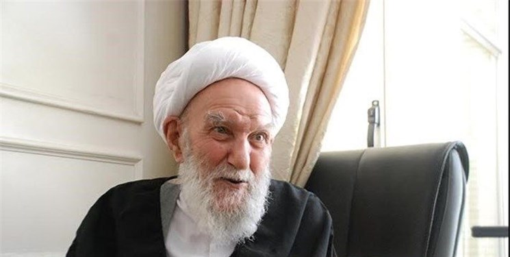 عضو مجلس خبرگان: آیتالله ناصری نمونه اکسیر عشق به ولی خدا بود