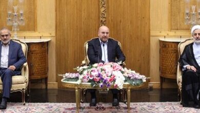 قالیباف: عضویت ایران در بریکس، شرایط توسعه همسایگان را فراهم میکند