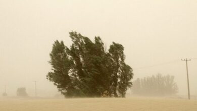 لشکرکشی ریزگردها به خراسانجنوبی