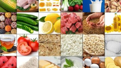 لیست کالاهای اساسی برای تخصیص ارز بهروز شد