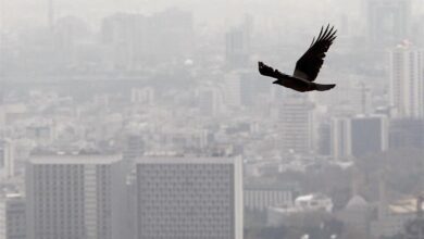 ماجرای مسکنهای ۲۵ متری/ ادعای تعاونیهای عمرانی شهر تهران تکذیب شد