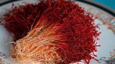 محکومیت ۱ میلیارد ریالی قاچاقچی زعفران در فرودگاه امام خمینی (ره)