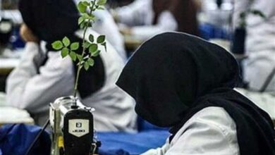 مشکل ضمانت وام بانوان سرپرست خانوار لرستانی برطرف میشود