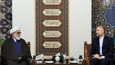 موافقت امیرعبداللهیان با تشکیل کارگروه امام رضا (ع) در وزارت خارجه/ تسهیلگری زیارت را رسالت خود میدانیم