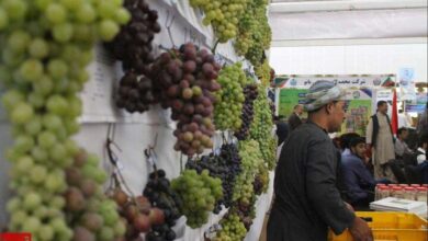 نمایشگاه توانمندیها و ظرفیتهای روستایی و عشایری برگزار میشود