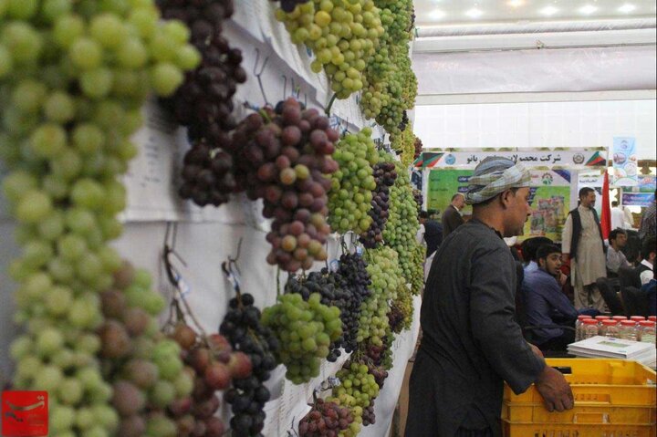 نمایشگاه توانمندیها و ظرفیتهای روستایی و عشایری برگزار میشود