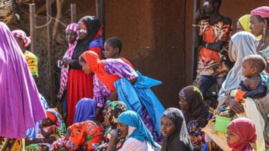 هشدار سازمان ملل درباره ناامنی غذایی میلیونها نفر در نیجر و مالی