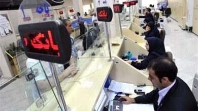 هنوز تصمیم قطعی درباره انحلال موسسات گرفته نشدهاید/ موسسه«توسعه» منحل شد