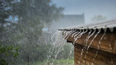 هواشناسی ایران ۱۴۰۲/۰۷/۰۱؛ آغاز بارشهای پاییزی در کشور/ کاهش ۷درجهای دما در برخی مناطق