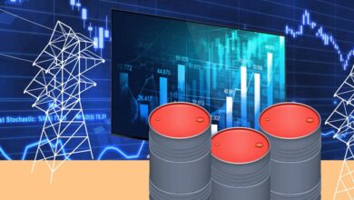 واکنش سرد سهامداران بورسی به انتشار فرمول نرخ خوراک پتروشیمیها