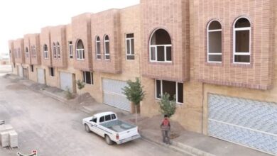 واگذاری ۲۰ هزار قطعه زمین قانون جوانی جمعیت در ۲ هفته آینده/ تأمین ۳۴ هزار هکتار زمین برای طرح نهضت ملی