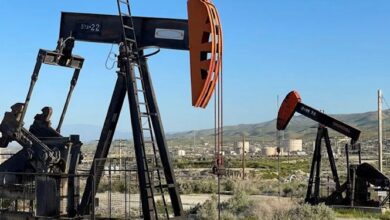 وزیری که صادرات نفت را به صفر رساند دیگران را دروغگو خواند