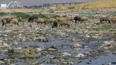 وظیفه لایروبی رودخانه«قرهسو» بر عهده کیست؟