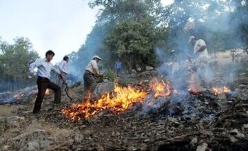 ٩٨ درصد حریق جنگلهای کرمانشاه عامل انسانی دارد