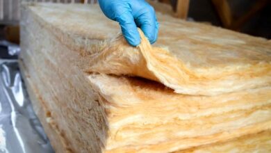 چرا «کپشیر»؟ / نمادی که فقط به صعود فکر میکند!