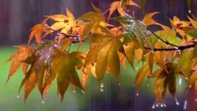 کاهش بارشهای حوضه دریاچه ارومیه در بلندمدت