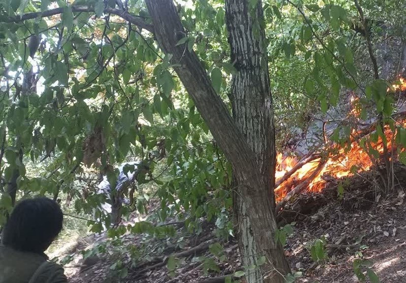 کاهش مدت زمان اطفای حریق منابع طبیعی در کرمانشاه