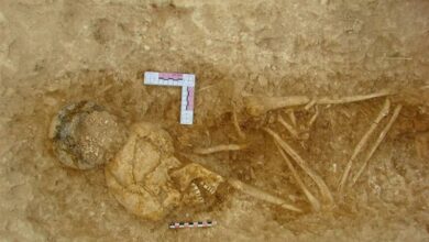 کاوشهای جدید در گورستان تاریخی کردستان/ باستانشناسان در سقز دنبال چه هستند؟ + فیلم