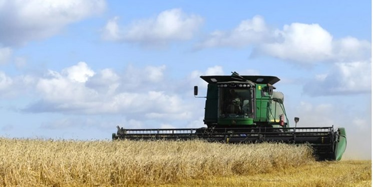 کشورهای عربی برای قطع وابستگی به آمریکا بیشترین متقاضی خرید غلات روسیه شدند