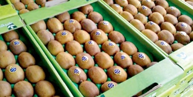 کیوی از مهر صادر میشود