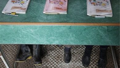 ۱۷ هزار دانشآموز و ۸۶۰ دانشجو در همدان زیر پوشش کمیته امداد قرار دارند